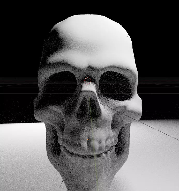Anatomy Skull head 3D model_0