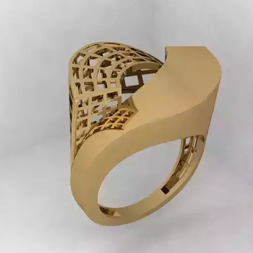 a Profishnal and Modern Beautiful  Ring