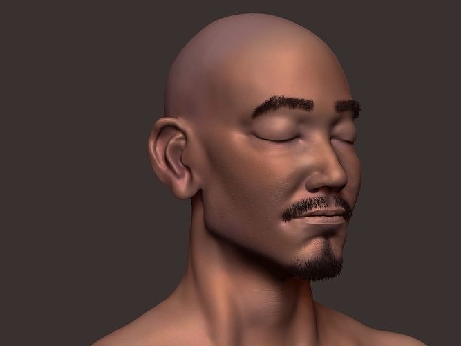 Batyr inside of human body Low-poly 3D model