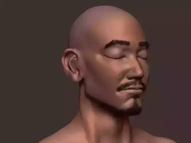 Batyr inside of human body