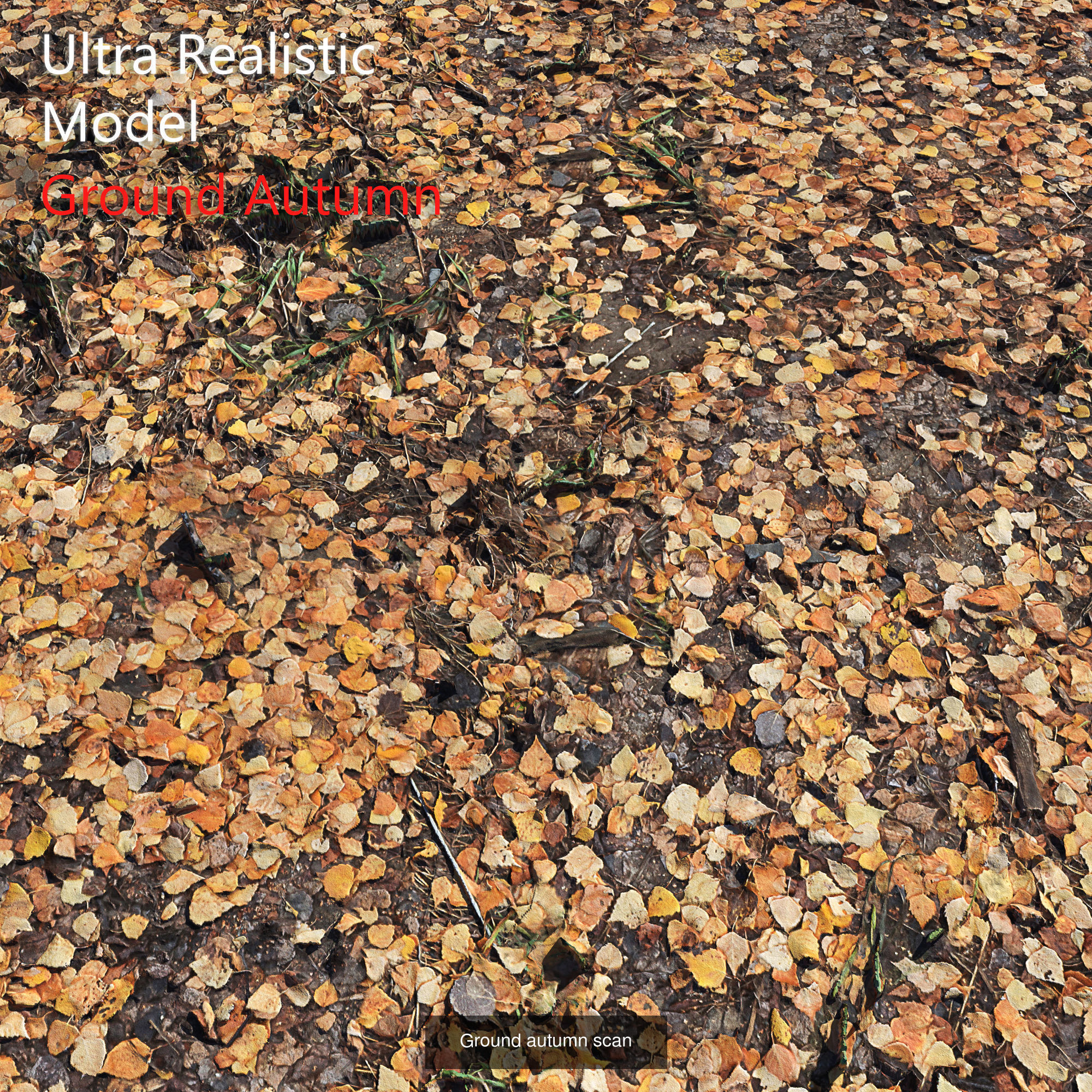 Ultra realistic Ground  3D Model Collection_5