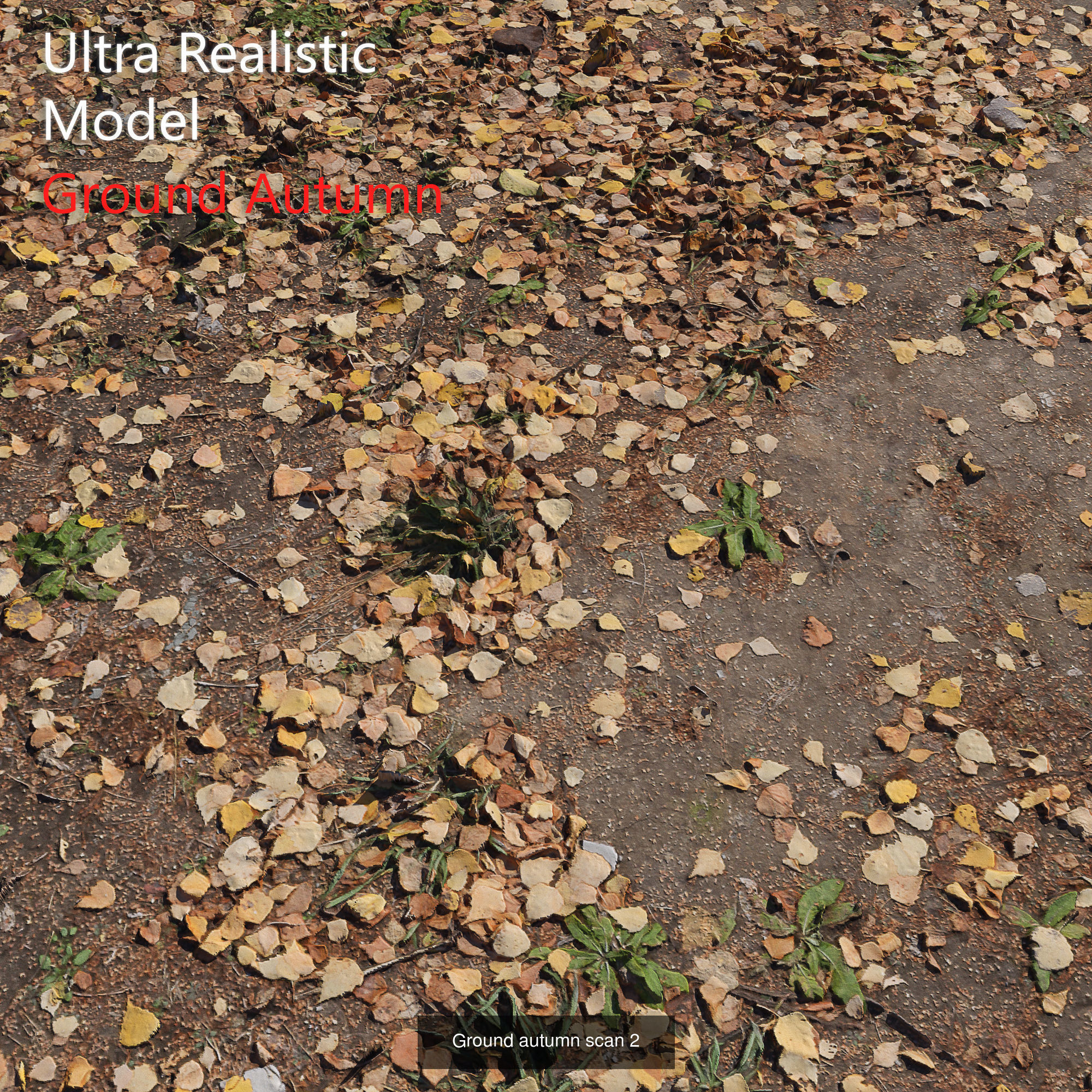 Ultra realistic Ground  3D Model Collection_6