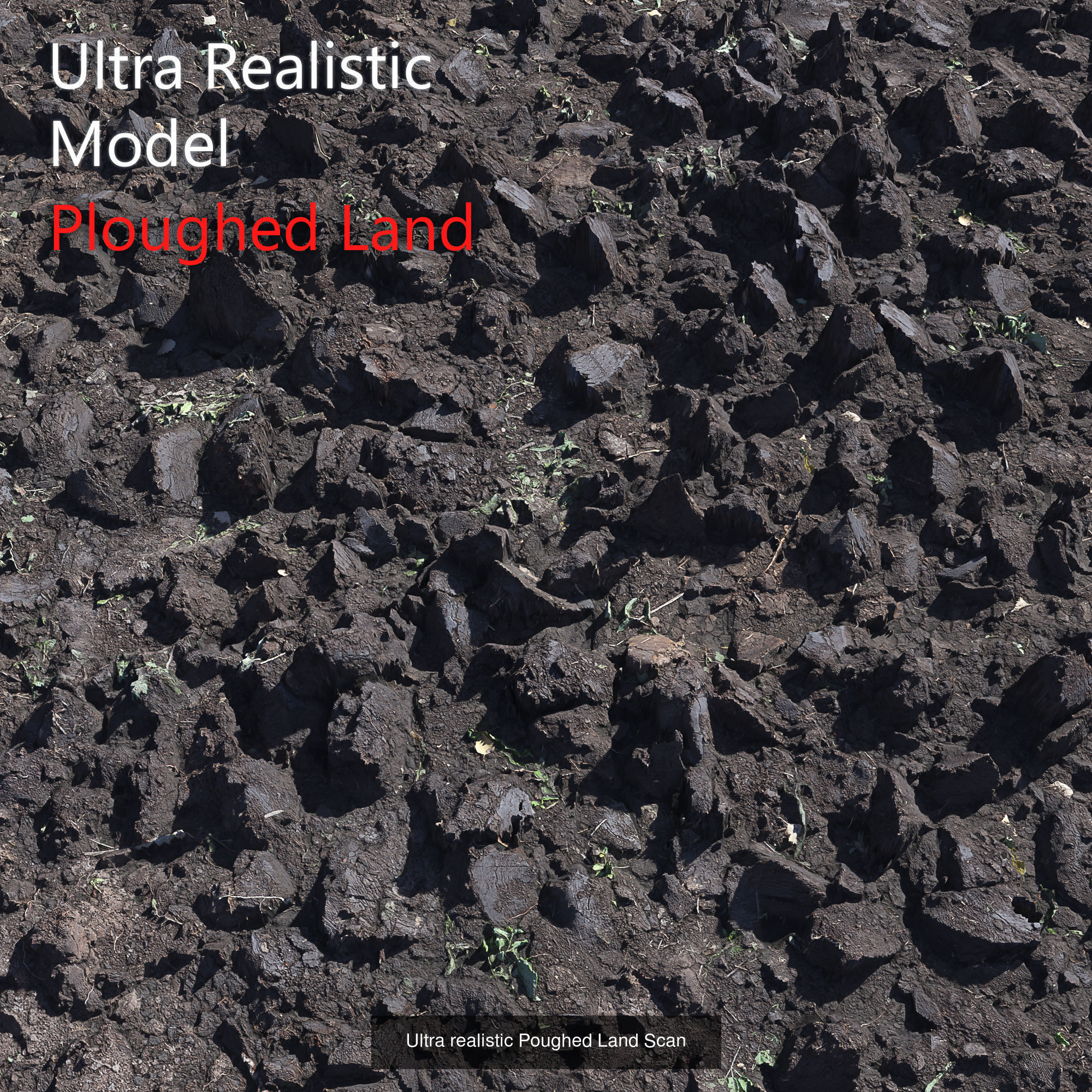 Ultra realistic Ground  3D Model Collection_3