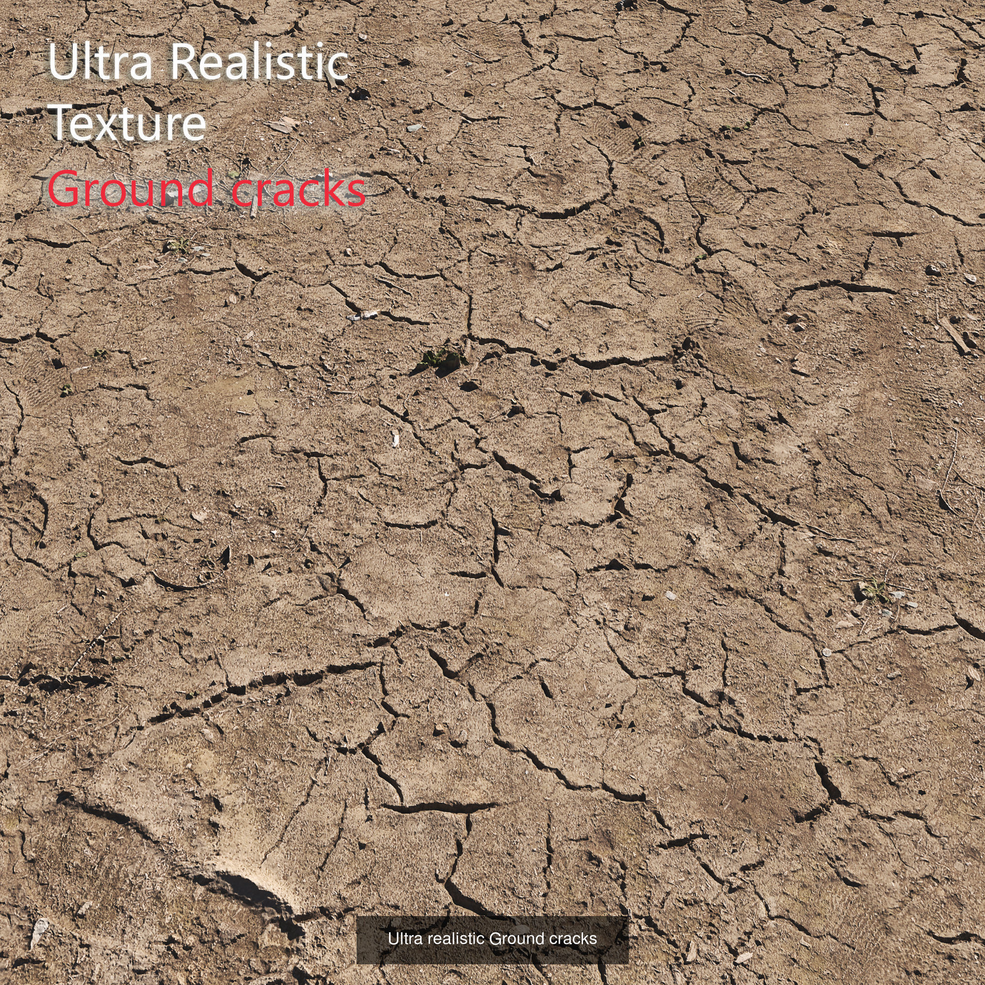 Ultra realistic Ground  3D Model Collection_7