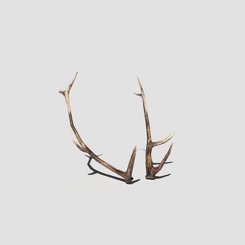 Antlers deer Low-poly 3D model
