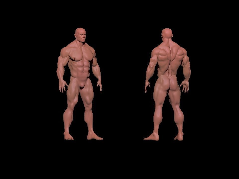 bodybuilder 6 man Low-poly 3D model_19