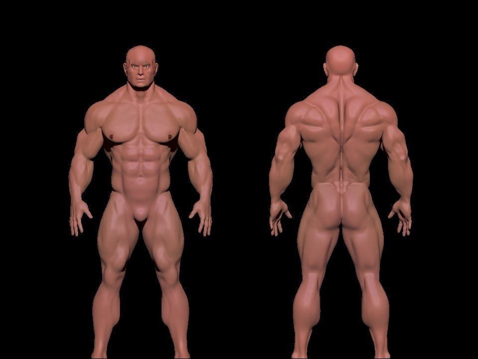 bodybuilder 6 man Low-poly 3D model_18