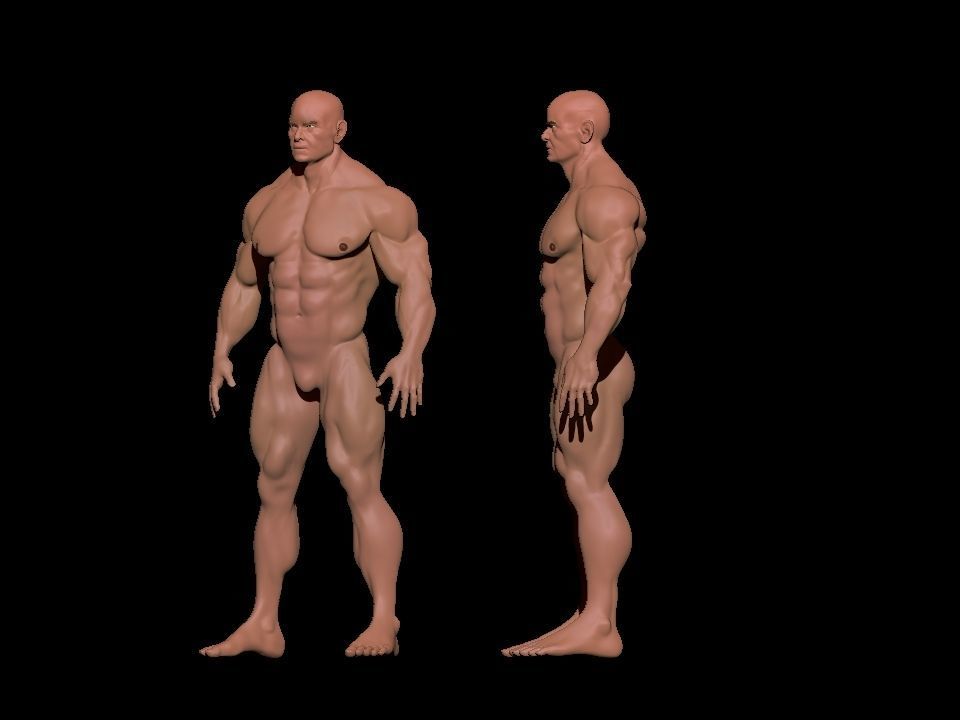 bodybuilder 6 man Low-poly 3D model_12