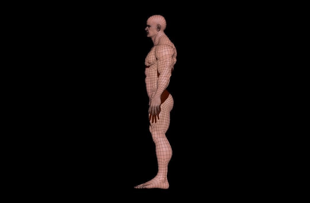 bodybuilder 6 man Low-poly 3D model_13