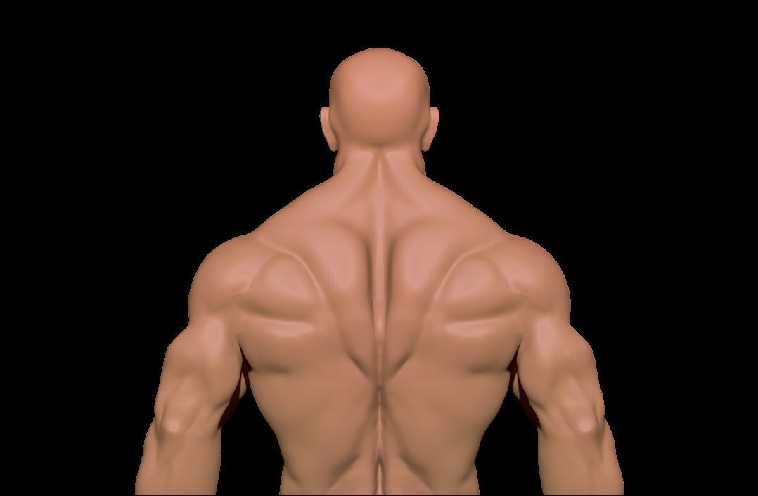 bodybuilder 6 man Low-poly 3D model_8