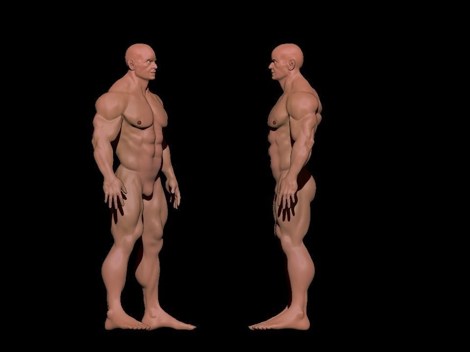 bodybuilder 6 man Low-poly 3D model_5