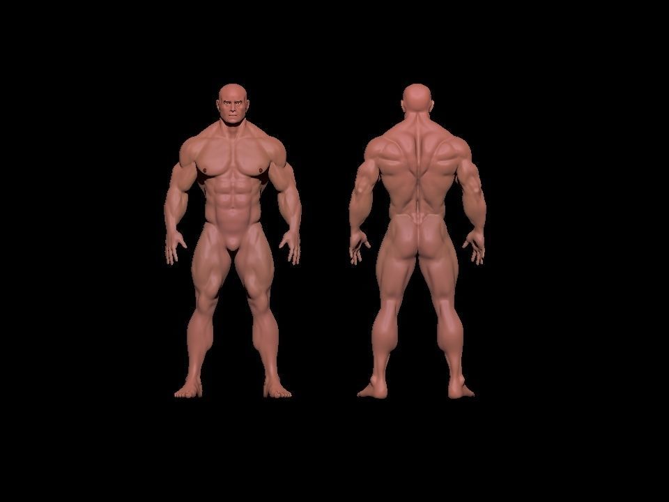 bodybuilder 6 man Low-poly 3D model_6