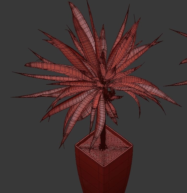 Flower Pack 53 3D model_4