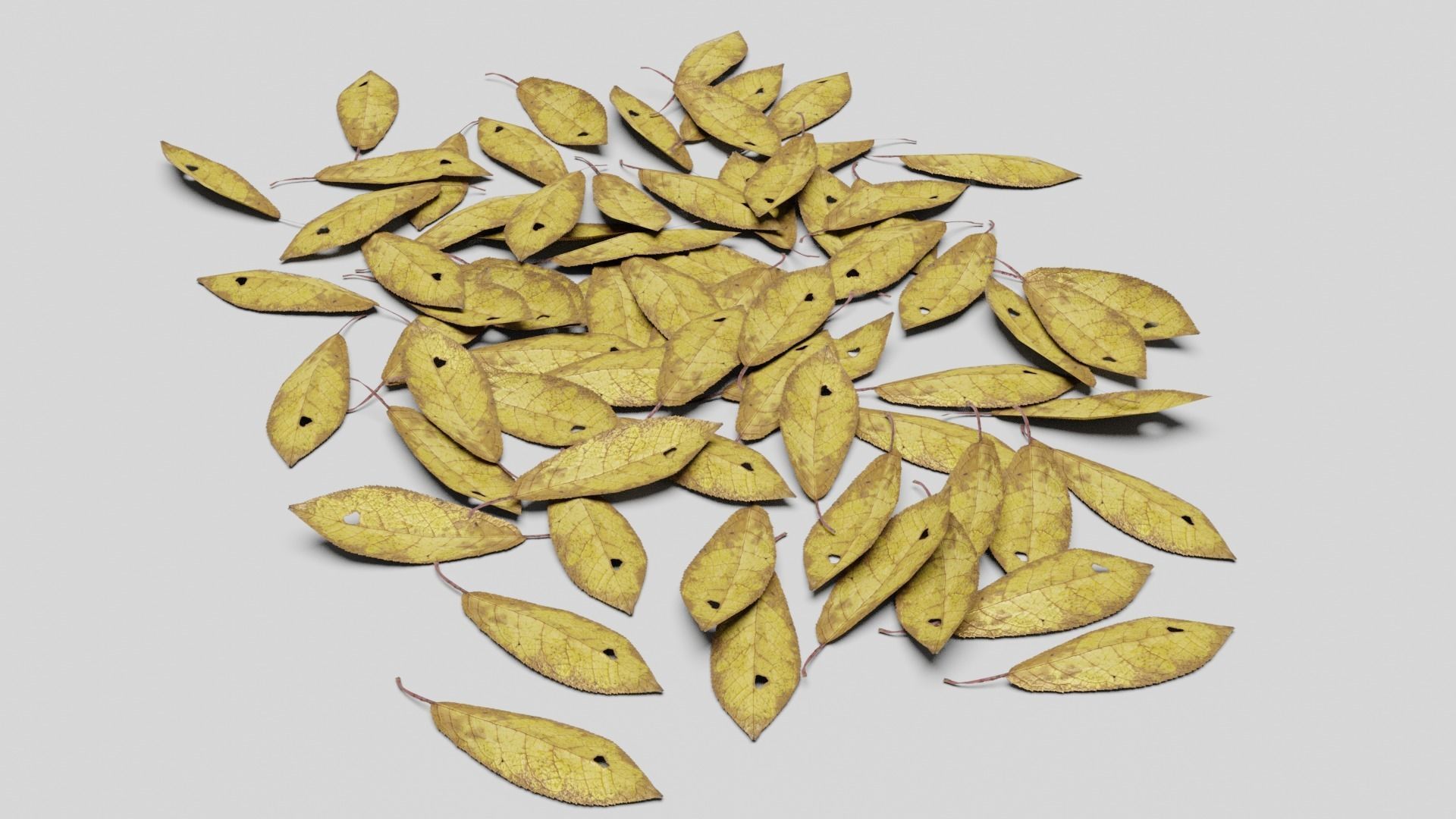 Ground Leaves Pack Low-poly 3D model_6