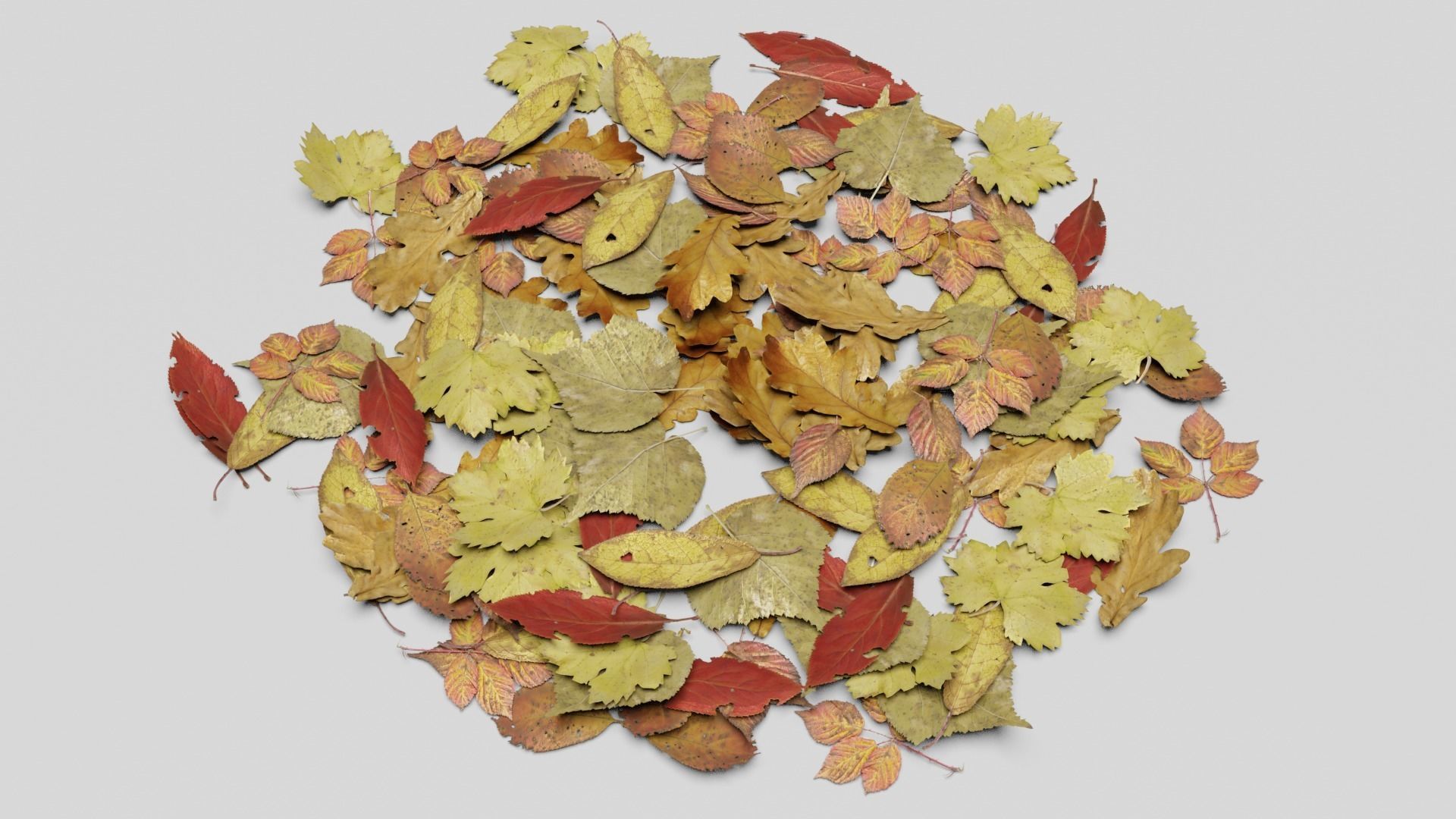 Ground Leaves Pack Low-poly 3D model_2