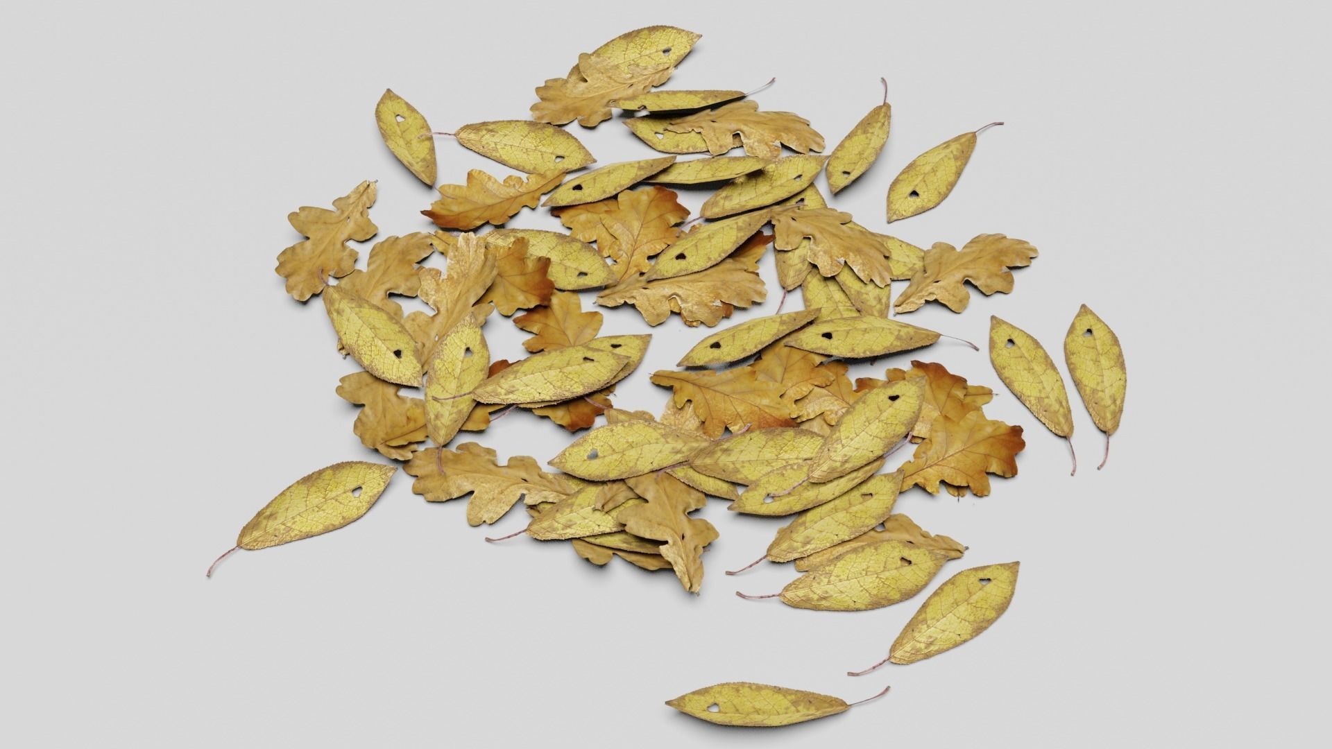 Ground Leaves Pack Low-poly 3D model_7