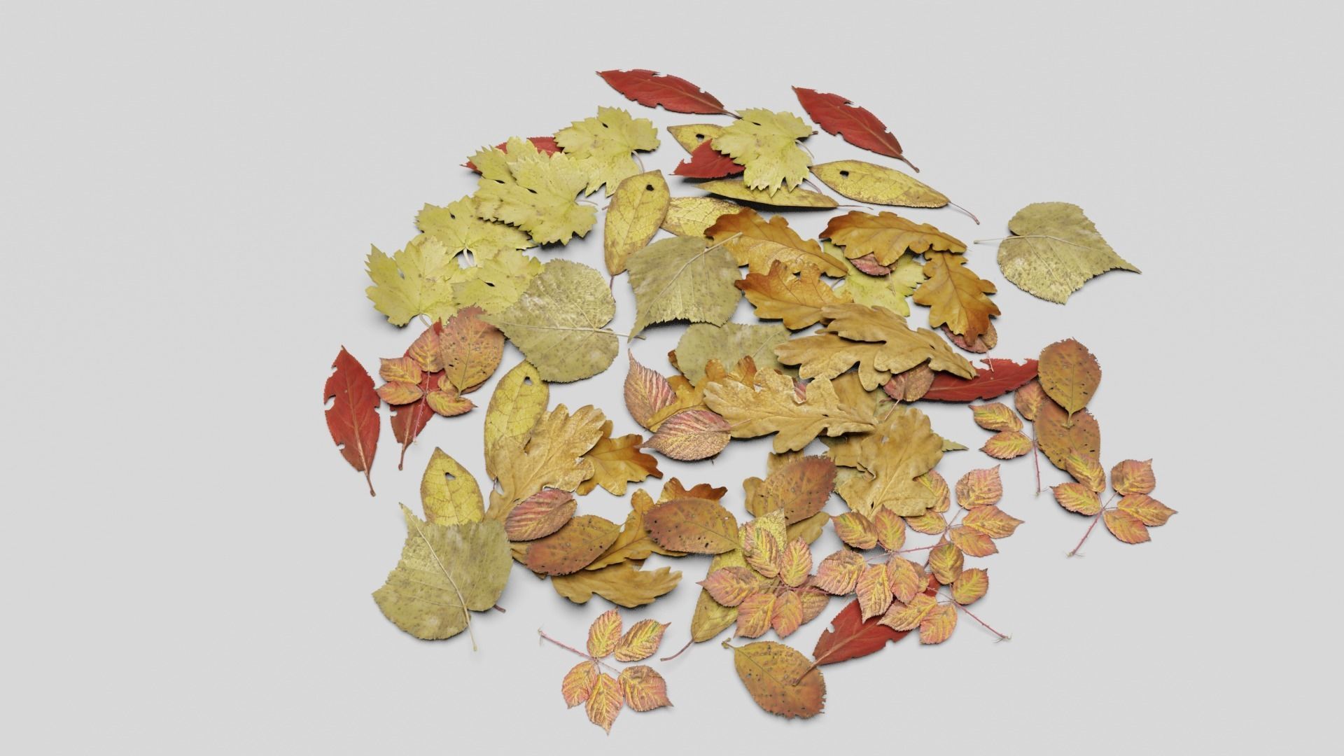 Ground Leaves Pack Low-poly 3D model_3