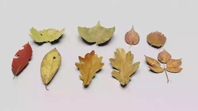 Ground Leaves Pack Low-poly 3D model