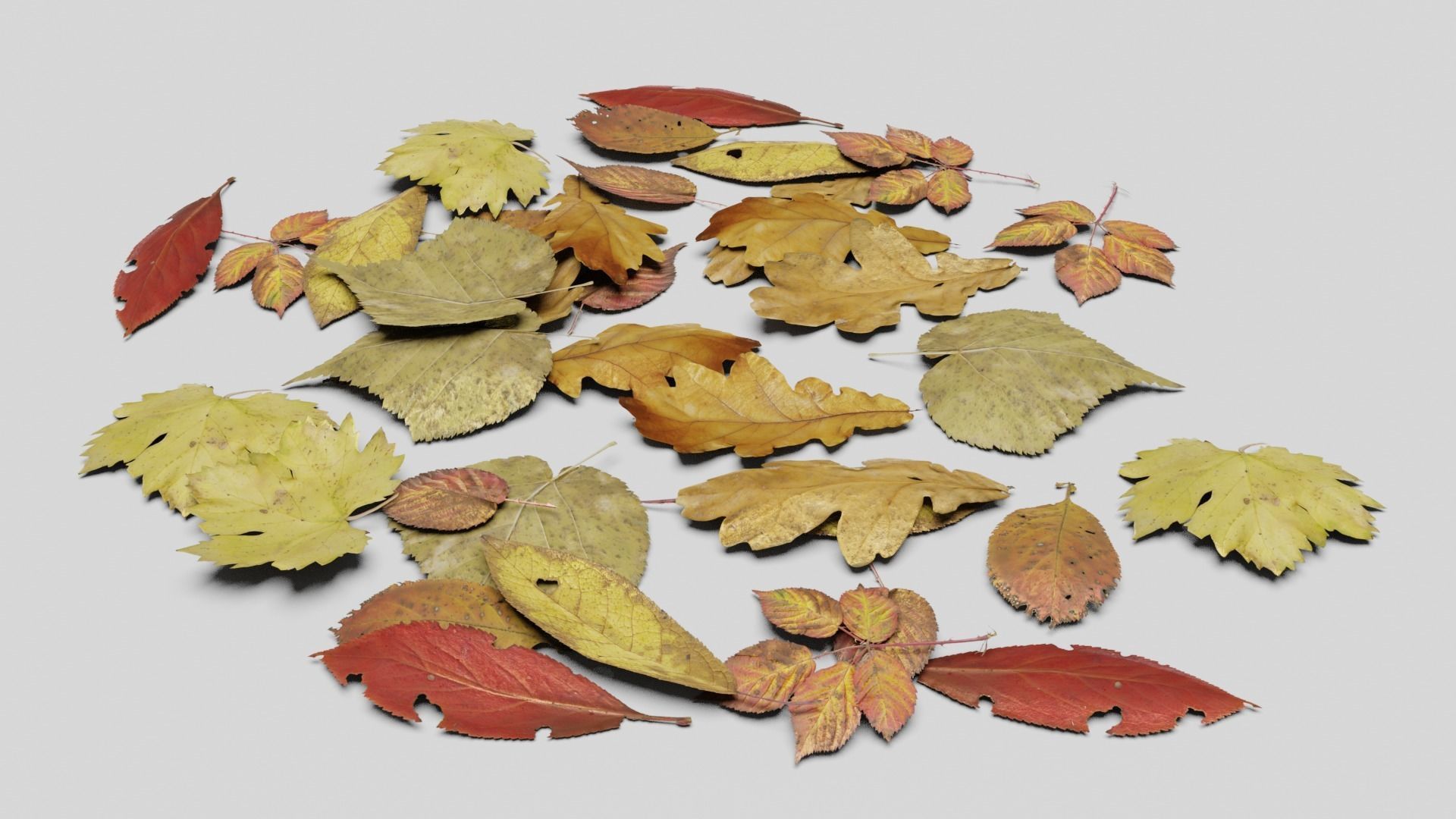 Ground Leaves Pack Low-poly 3D model_5