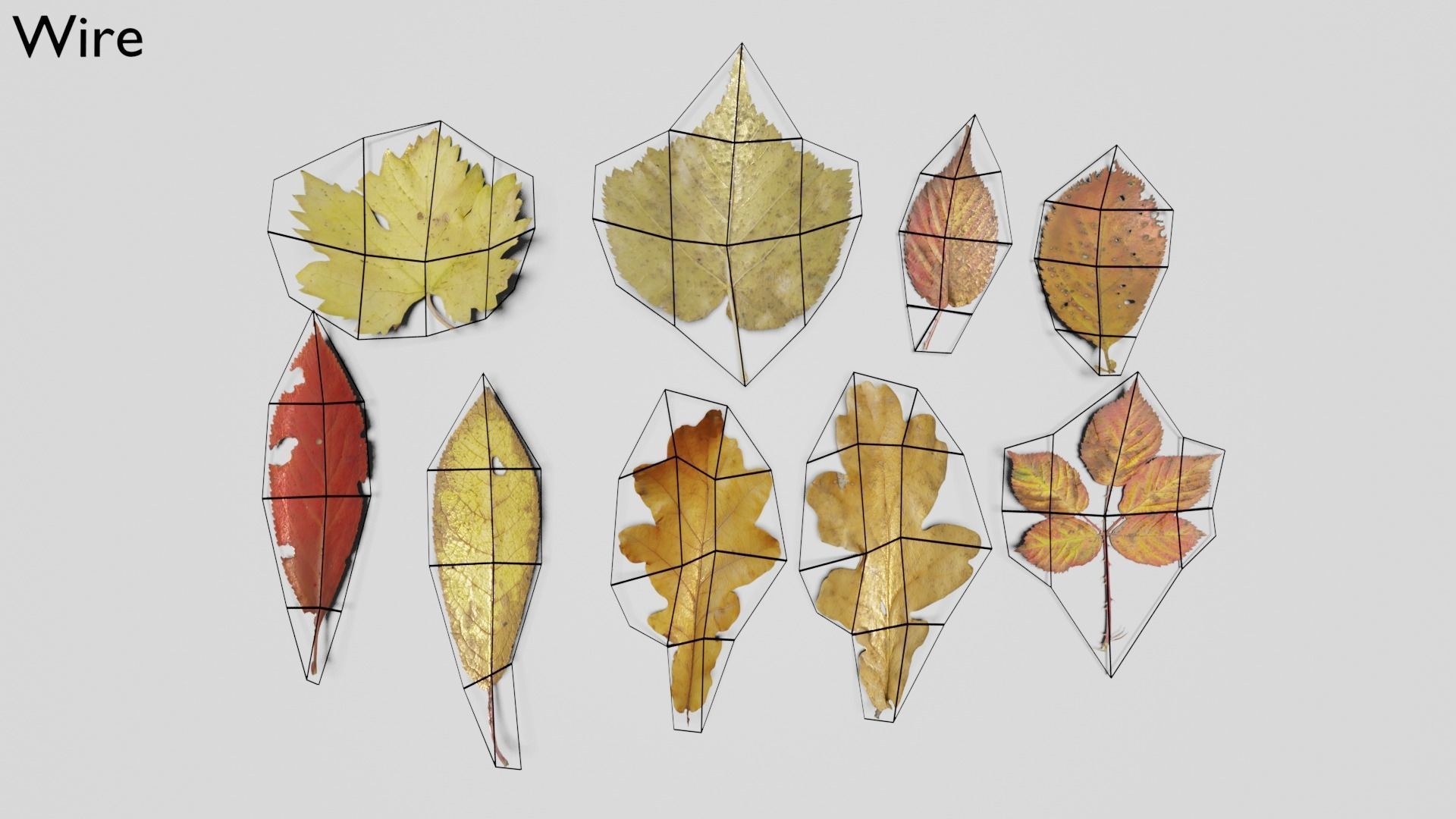 Ground Leaves Pack Low-poly 3D model_10