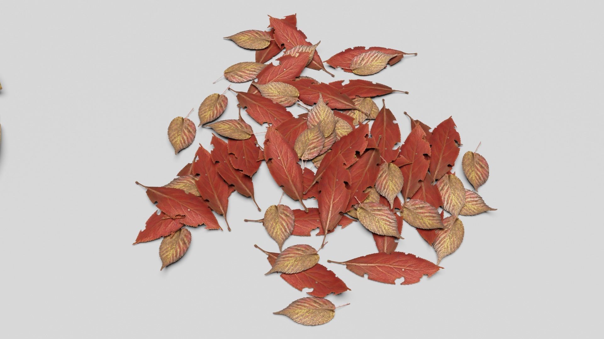 Ground Leaves Pack Low-poly 3D model_8