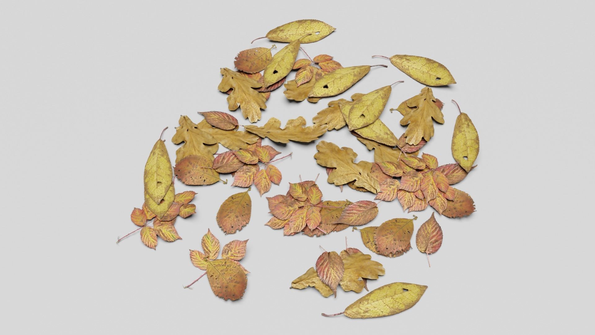 Ground Leaves Pack Low-poly 3D model_9