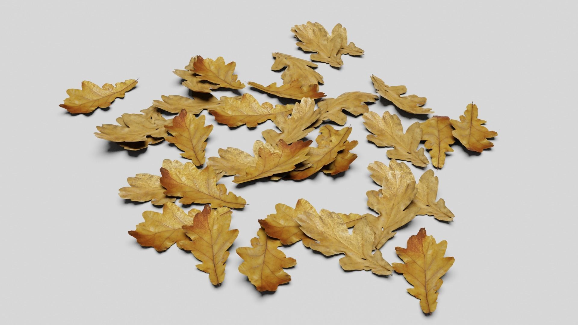 Ground Leaves Pack Low-poly 3D model_4