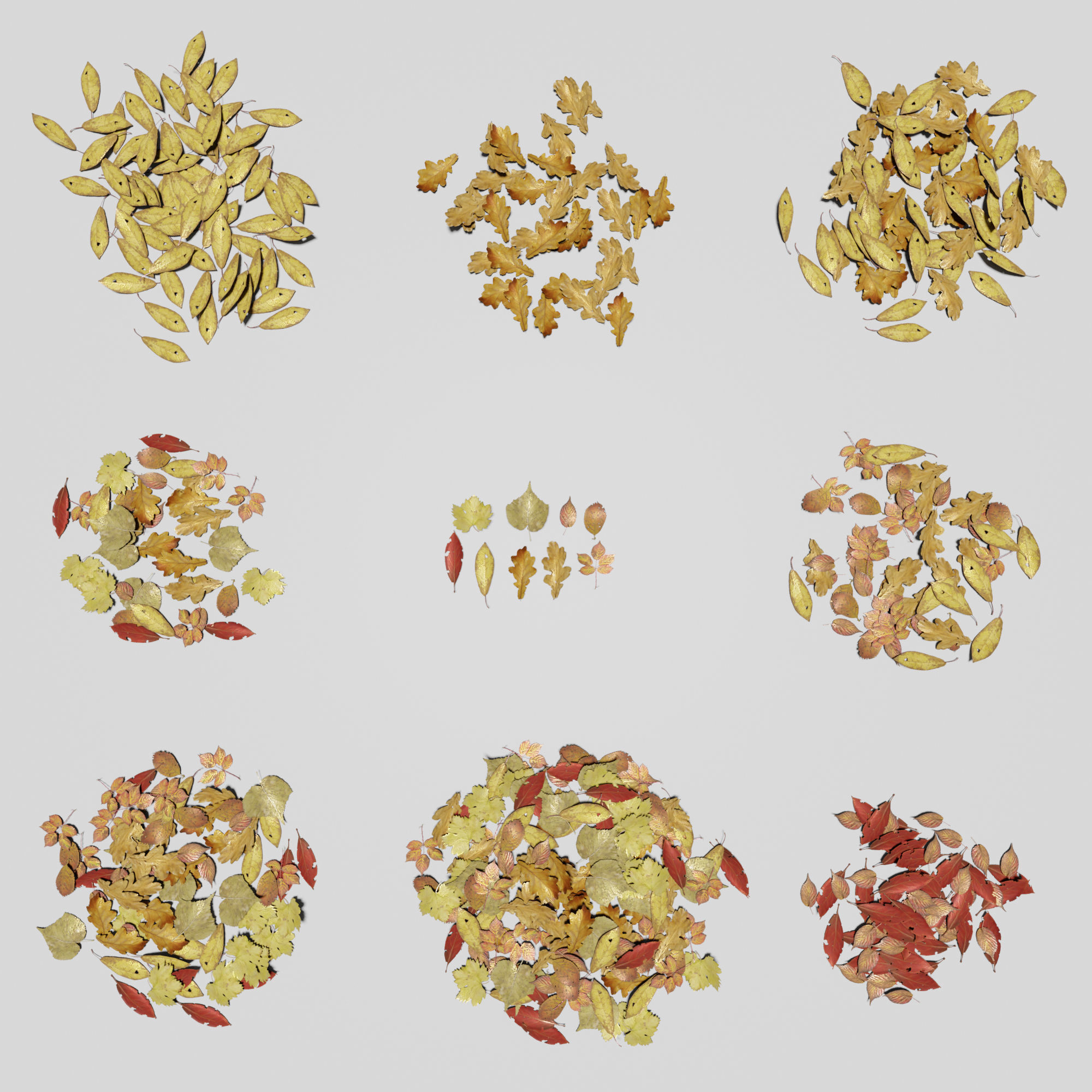 Ground Leaves Pack Low-poly 3D model_1