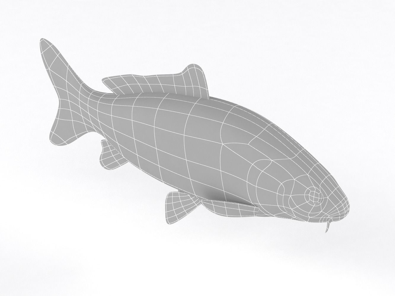 Carp Fish 3D model_10