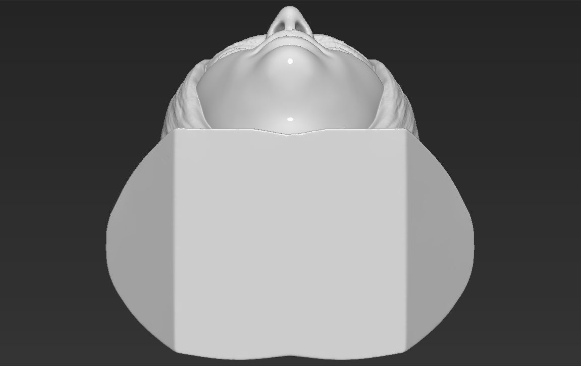 Kendall Jenner bust 3D printing ready stl obj formats 3D print model_22