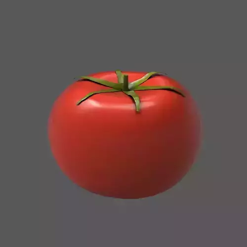 Tomato