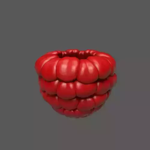Raspberry