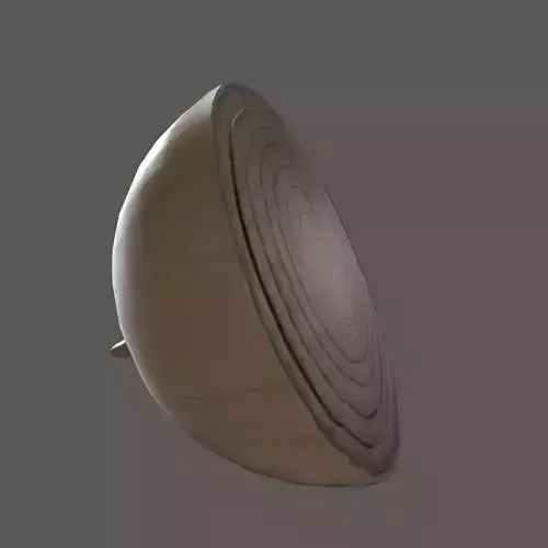 Onion Half