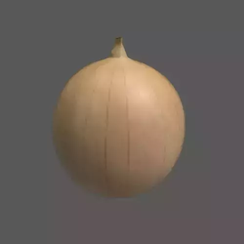 Onion