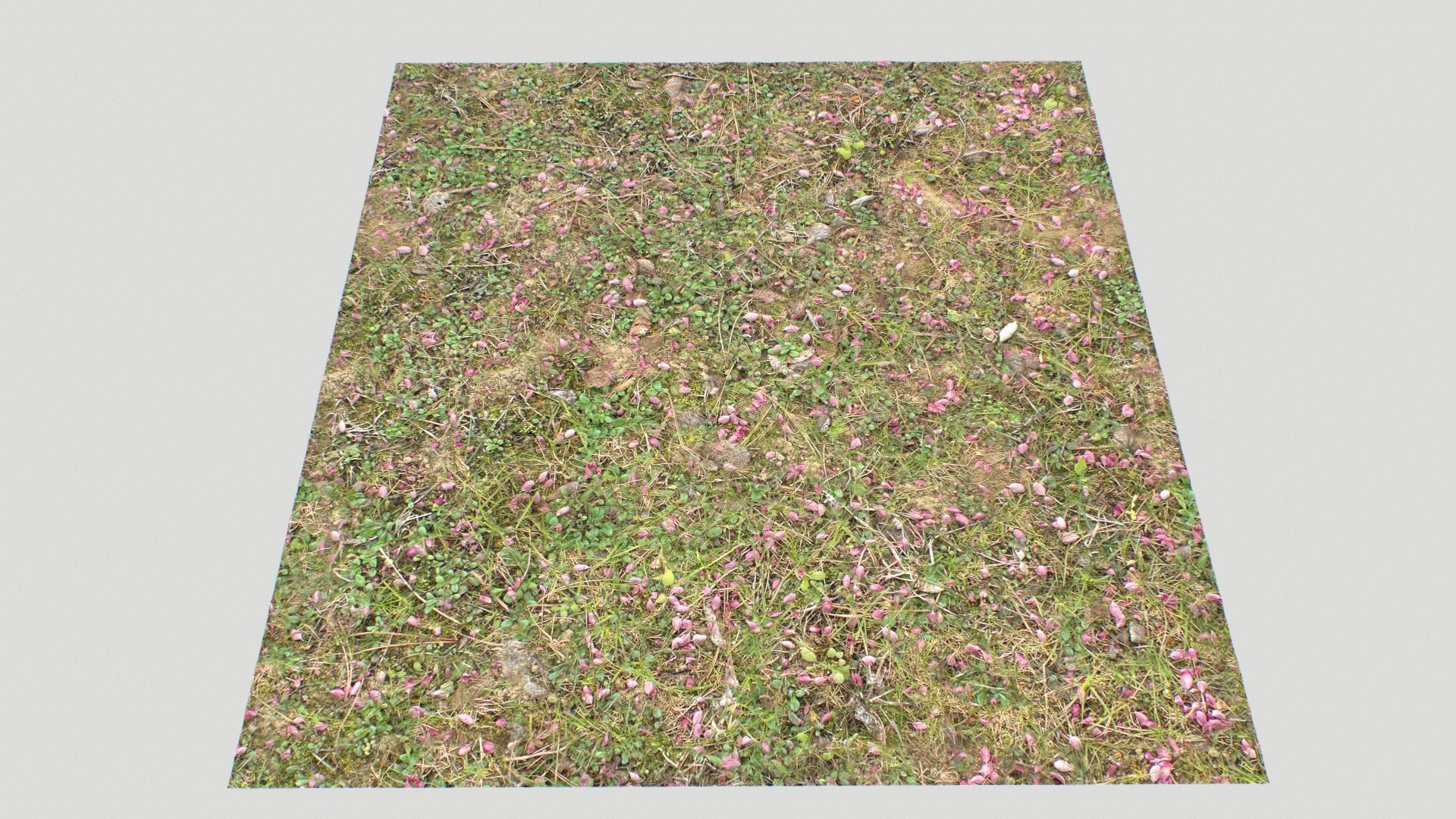 Forest ground PBR Pack 10 Texture_23