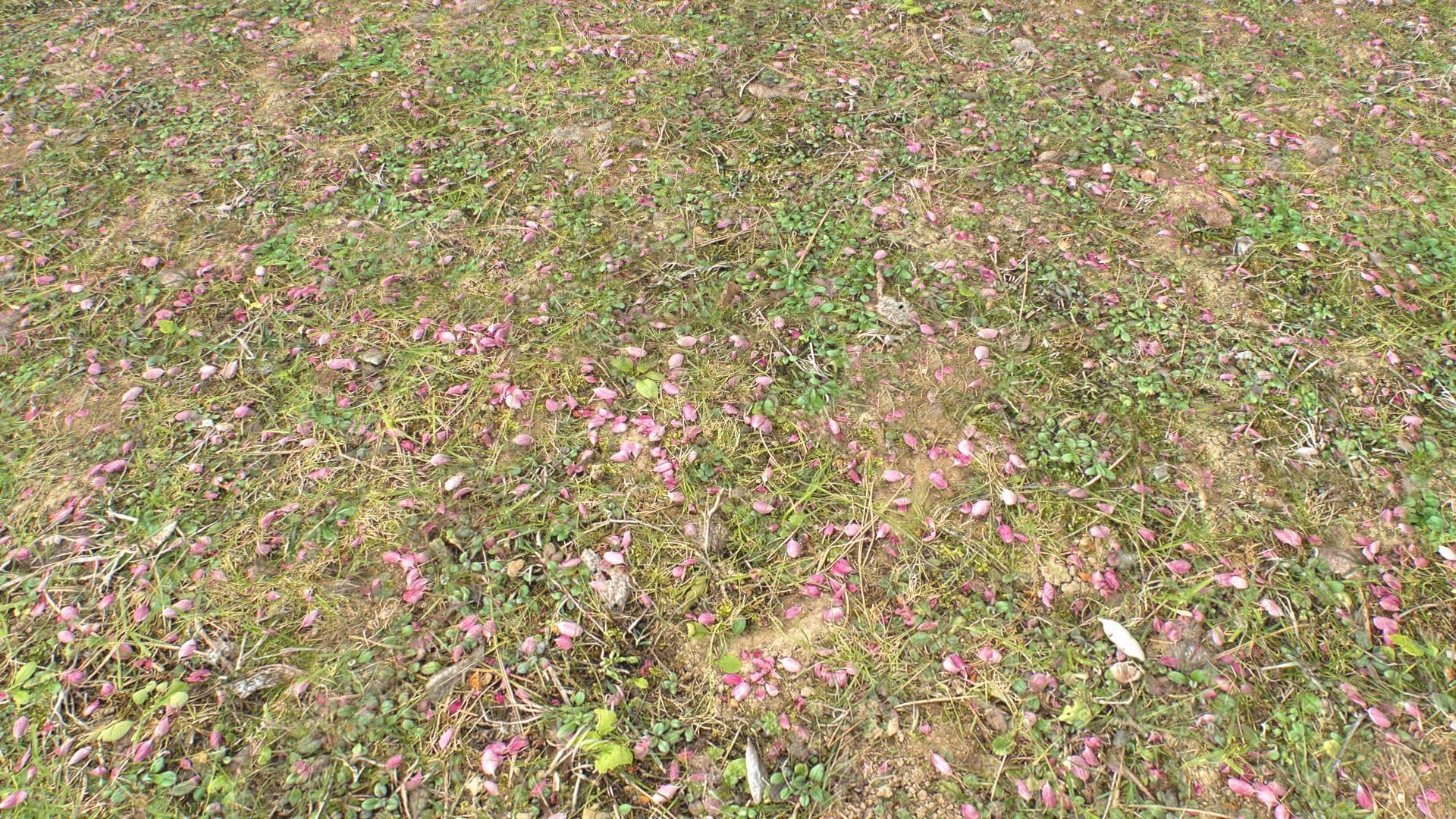 Forest ground PBR Pack 10 Texture_15