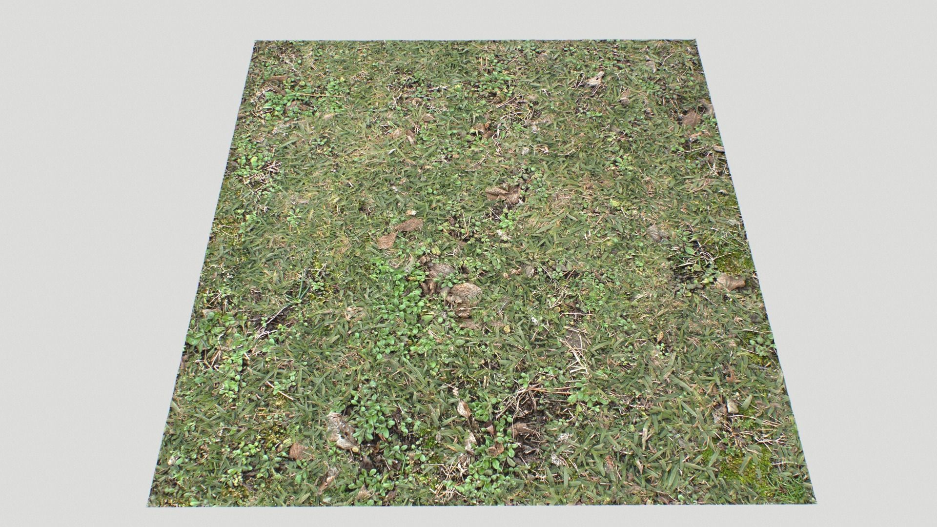 Forest ground PBR Pack 10 Texture_22