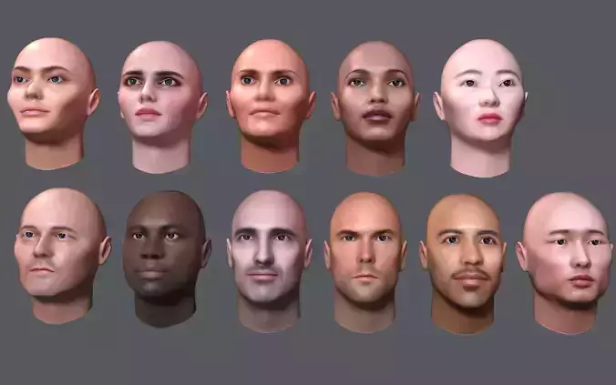 Human Head Pack 3D model