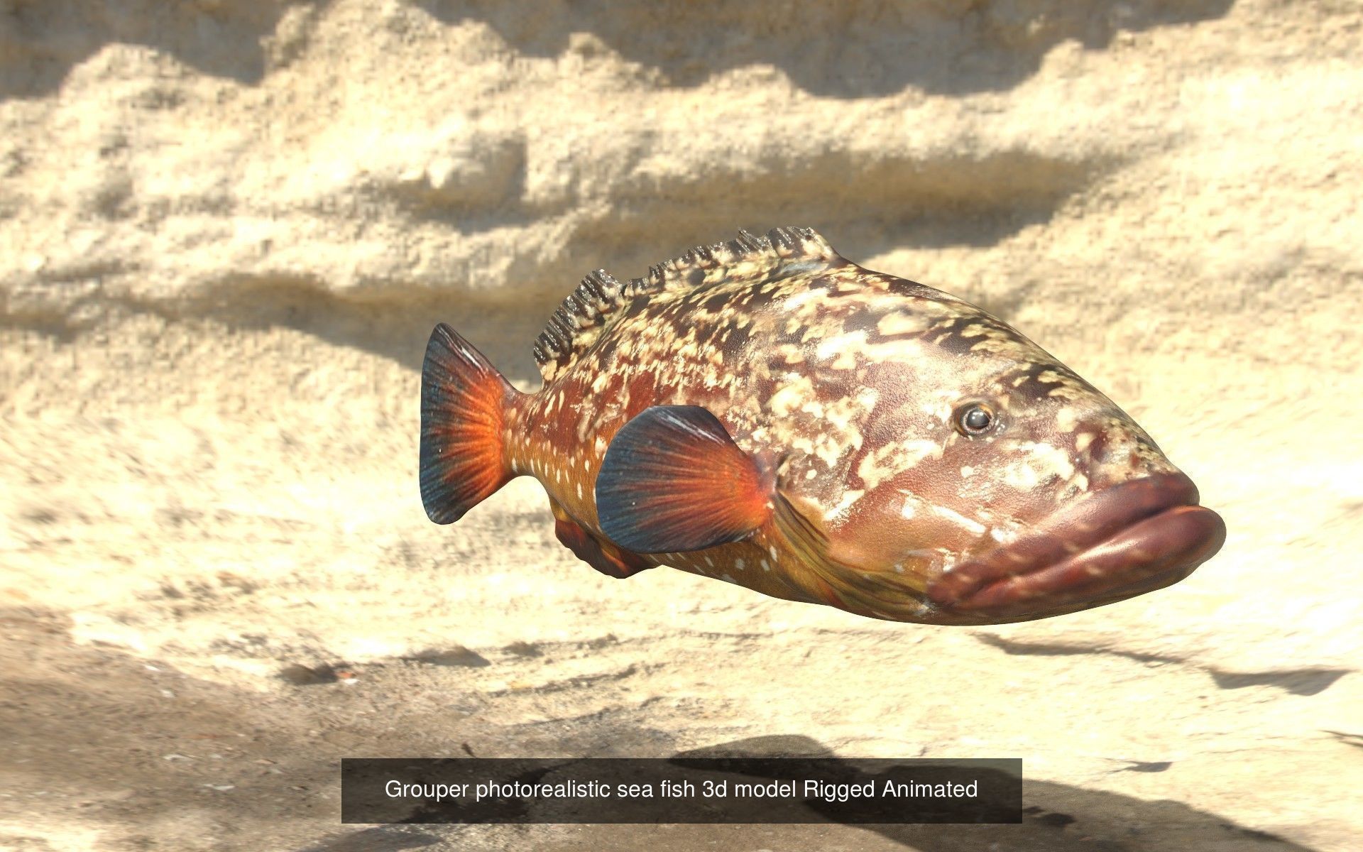 Collection of 3 photorealistic fishes animated _6