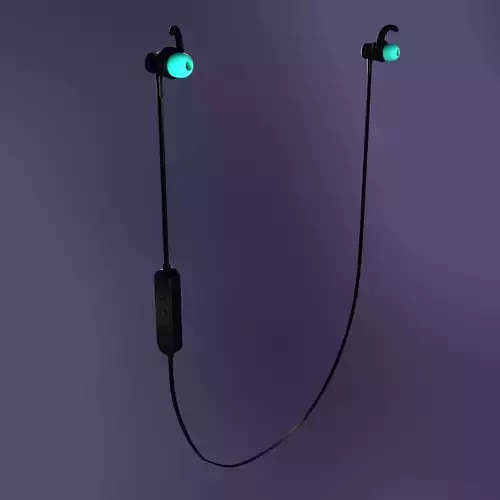 headphones  earphones