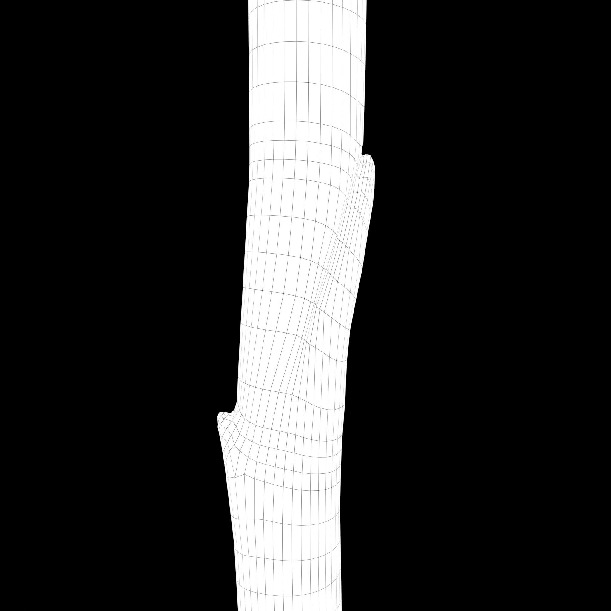 Medieval Style Broom 3D model_25