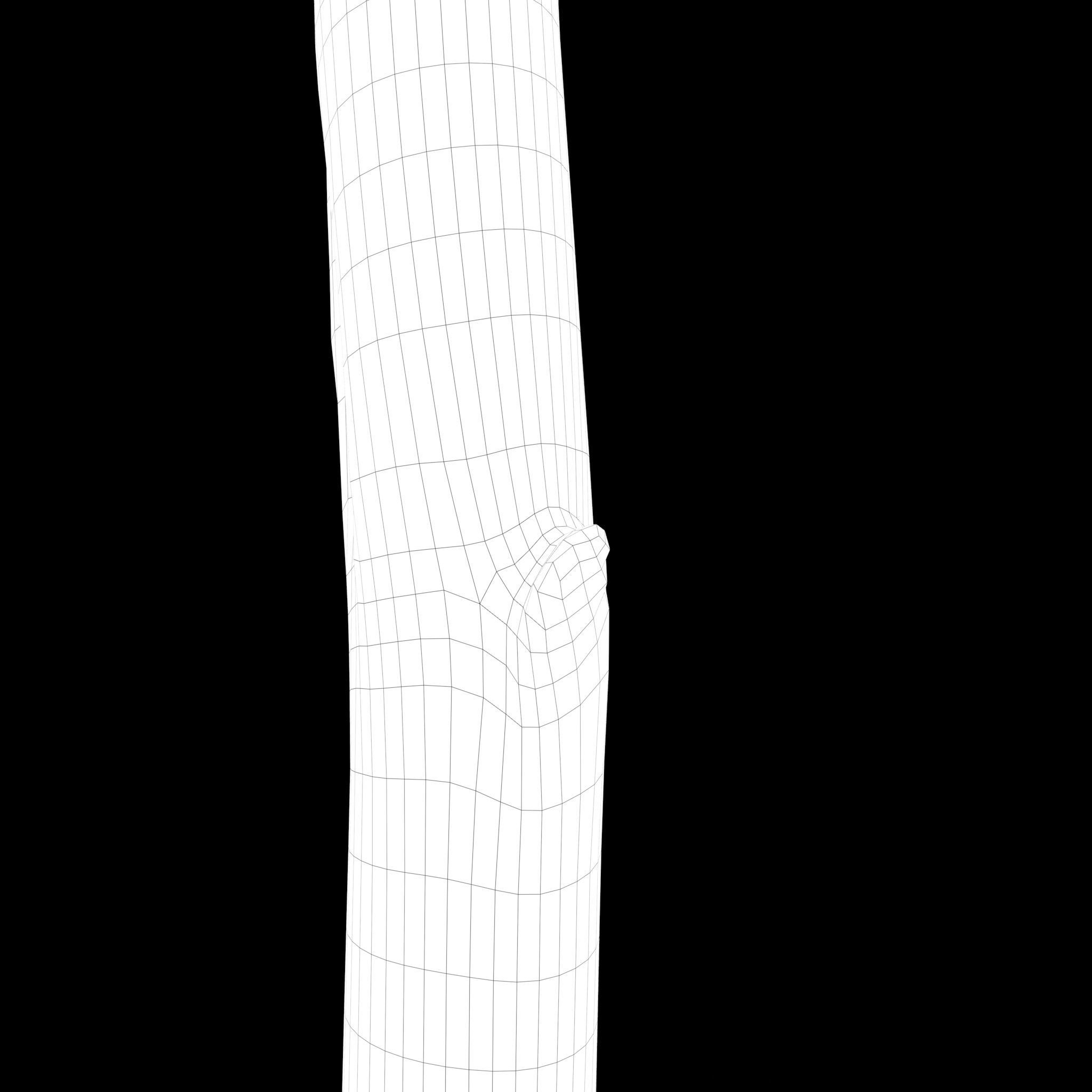 Medieval Style Broom 3D model_23