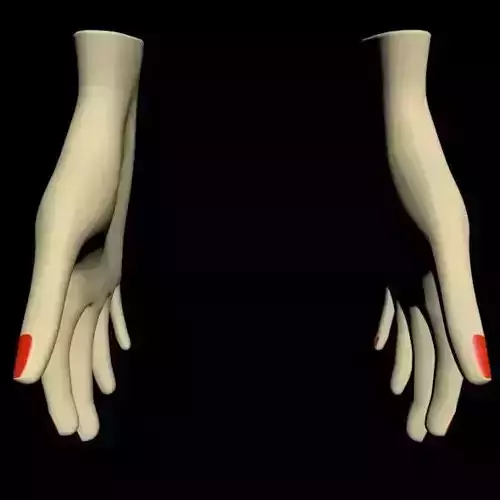 Female Hands 01
