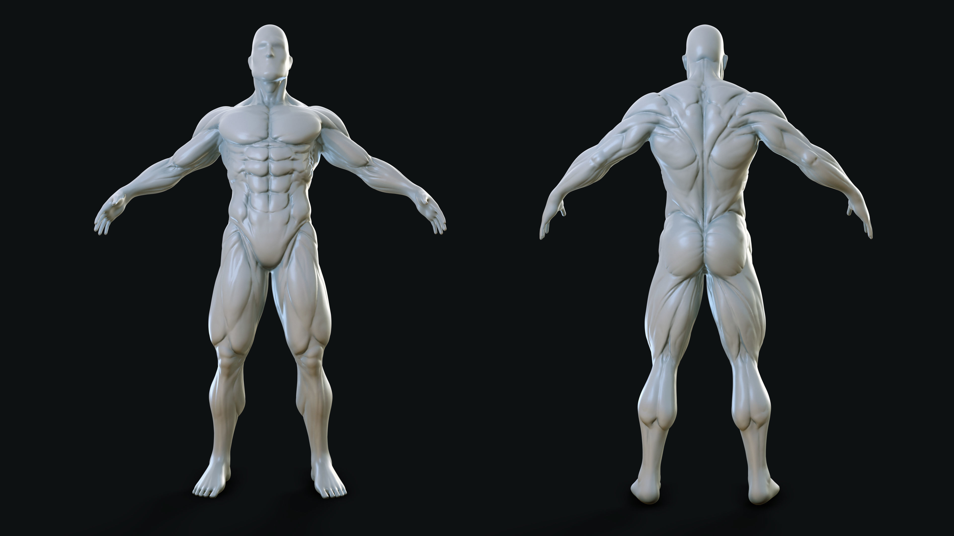 Muscular Man - Base Mesh 3D model_2