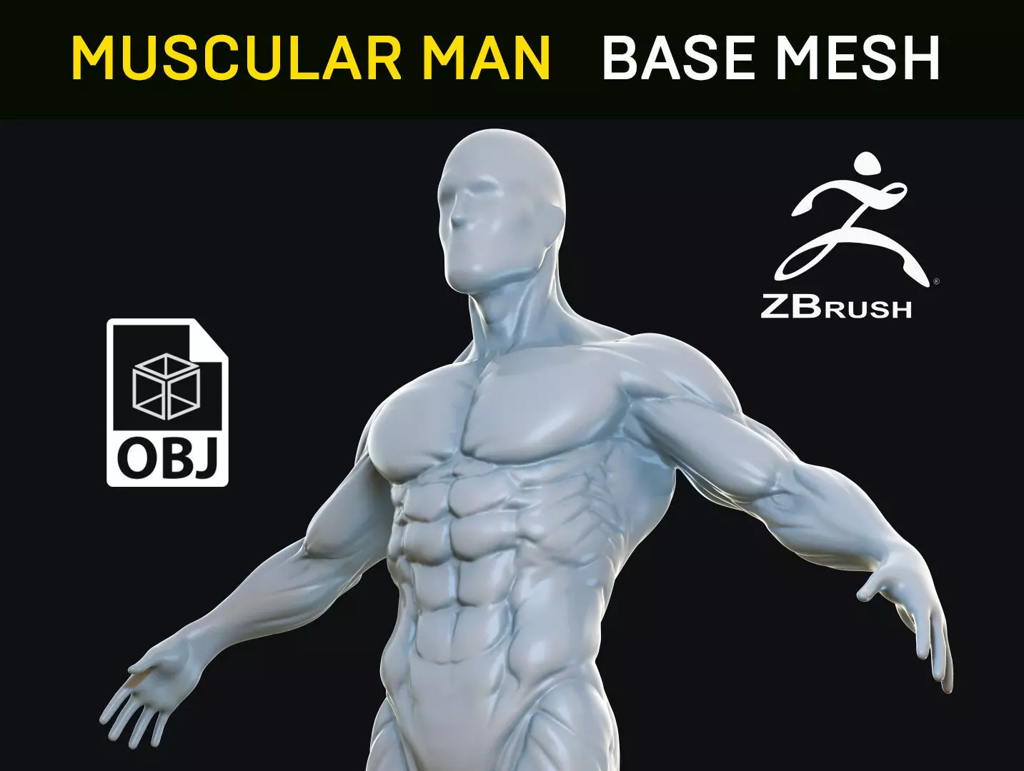 Muscular Man - Base Mesh 3D model_0