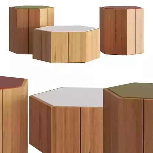 Tribu Hexagon Coffee Tables 3D model