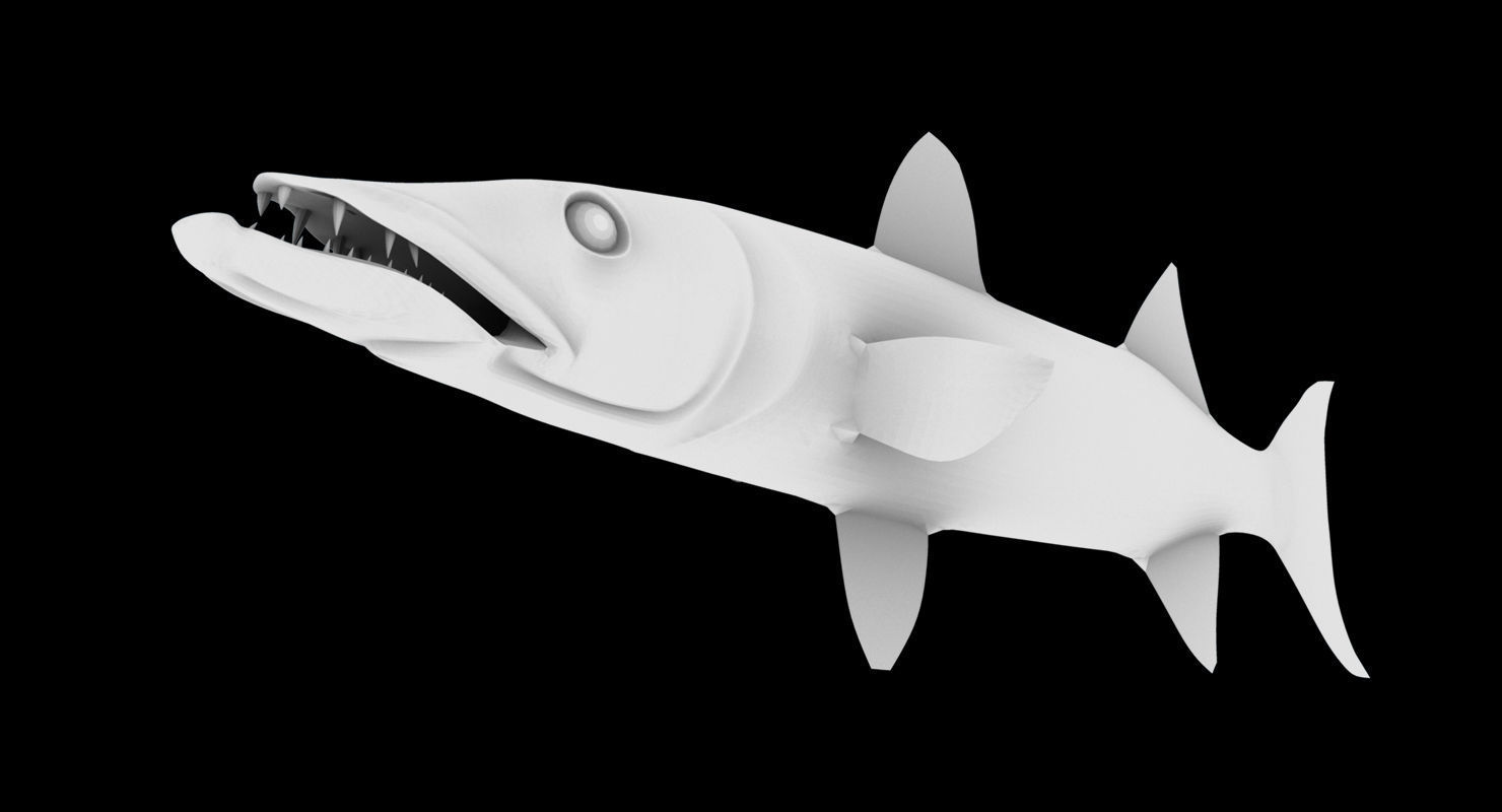 barracuda fish 3d model 3D model_10