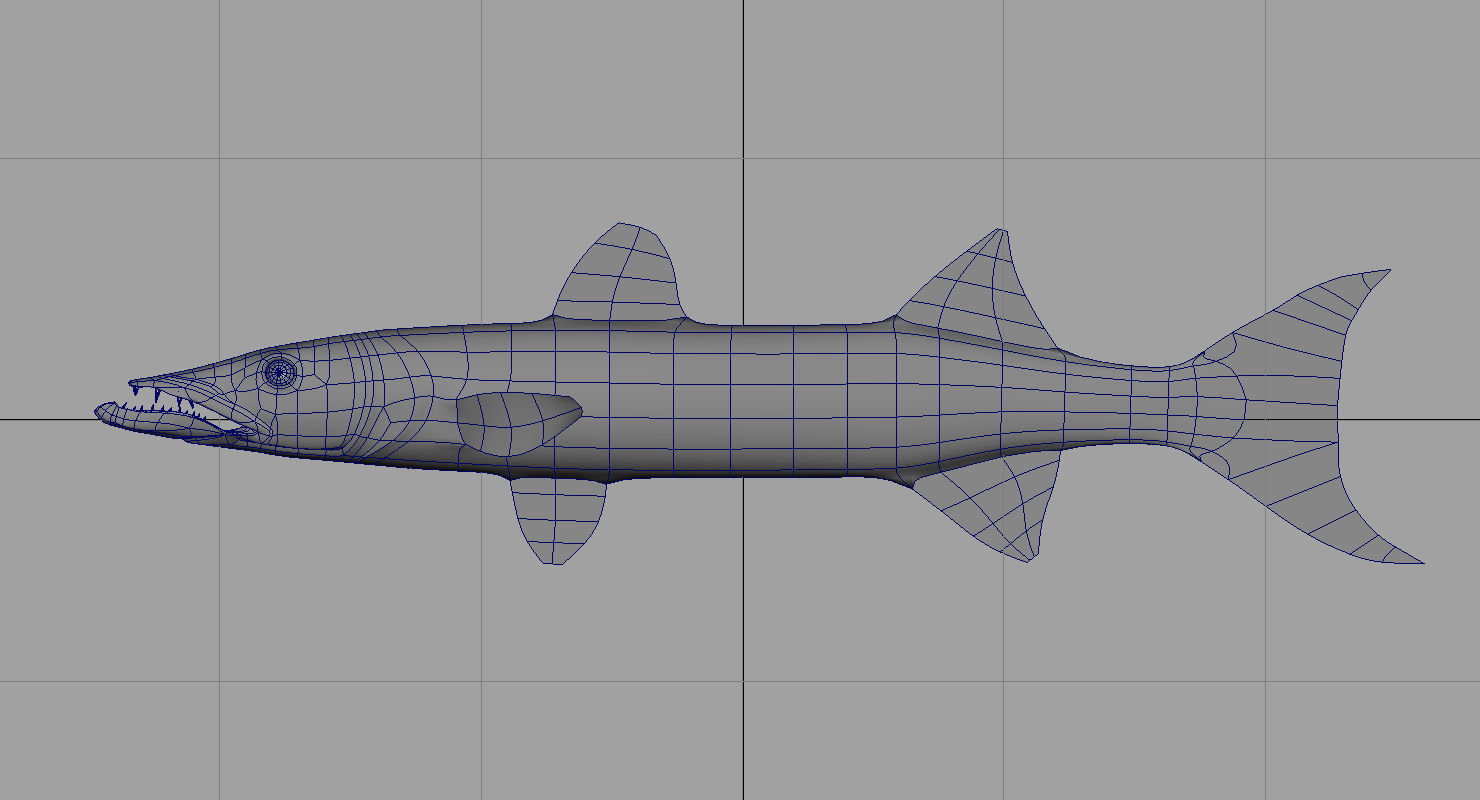 barracuda fish 3d model 3D model_2