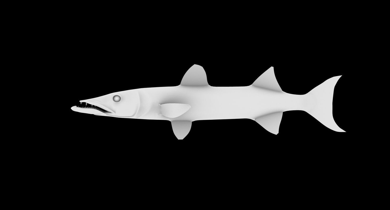 barracuda fish 3d model 3D model_7
