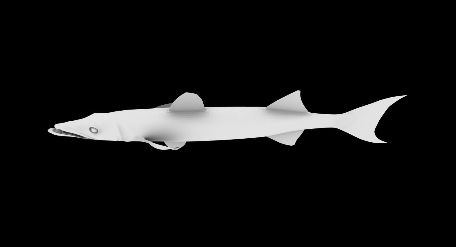 barracuda fish 3d model 3D model_9
